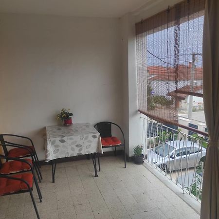 Apartmani Dominik Zara Esterno foto