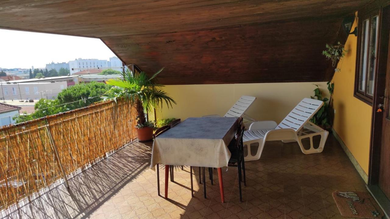Apartmani Dominik Zara Esterno foto