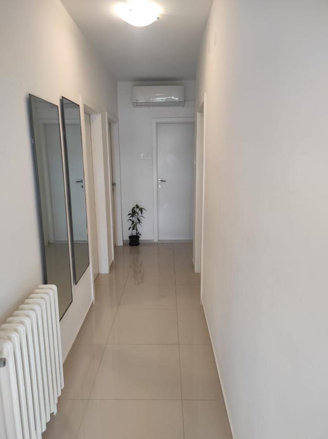 Apartmani Dominik Zara Esterno foto